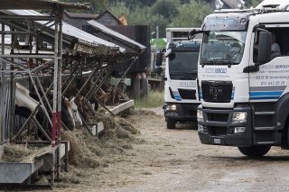 L'affaire de maltraitance animale de Hefenhofen (TG) a entraîné la fermeture de l'exploitation et la saisie des animaux (archives).